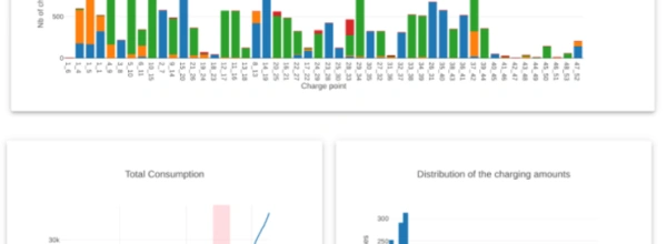 User analysis of e-mobility